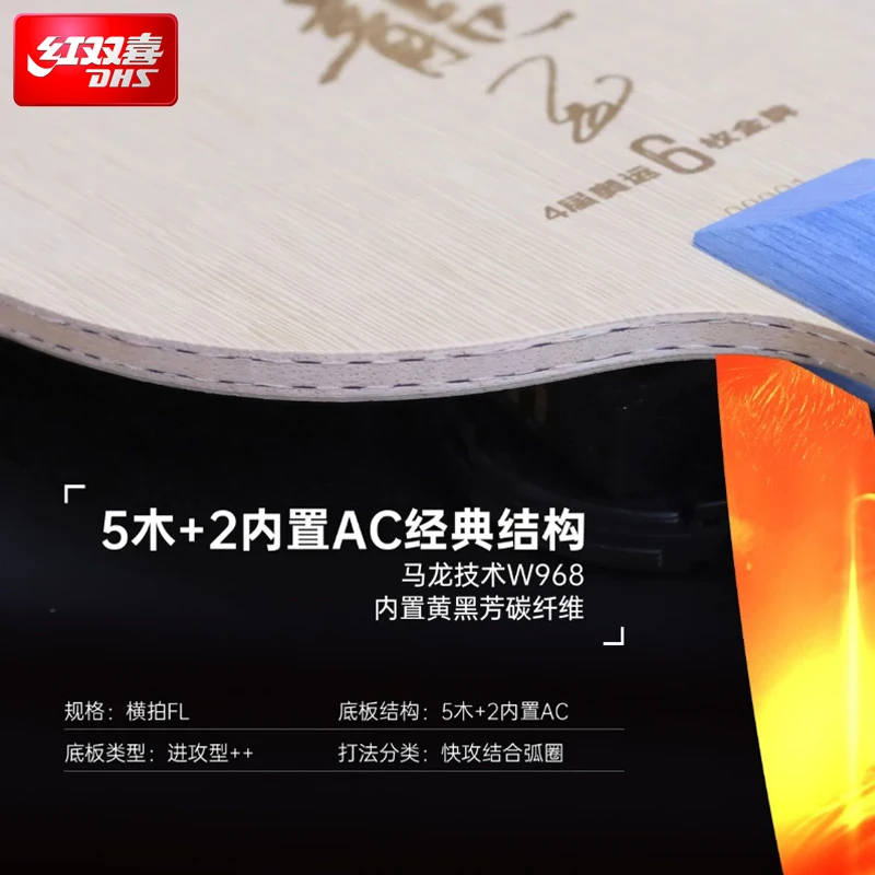 2025 DHS Malong Six Gold King  - Table Tennis Zhang Jike review and price